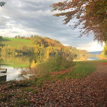 Charming Studio Near Rotsee Lucerne Kitchen/Wifi/Wasching Machine ภายนอก รูปภาพ