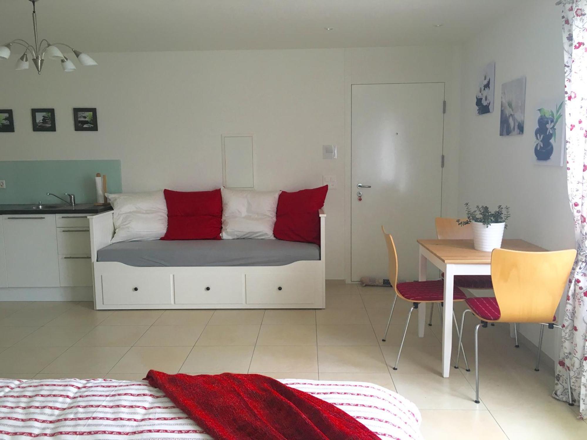 Charming Studio Near Rotsee Lucerne Kitchen/Wifi/Wasching Machine ภายนอก รูปภาพ