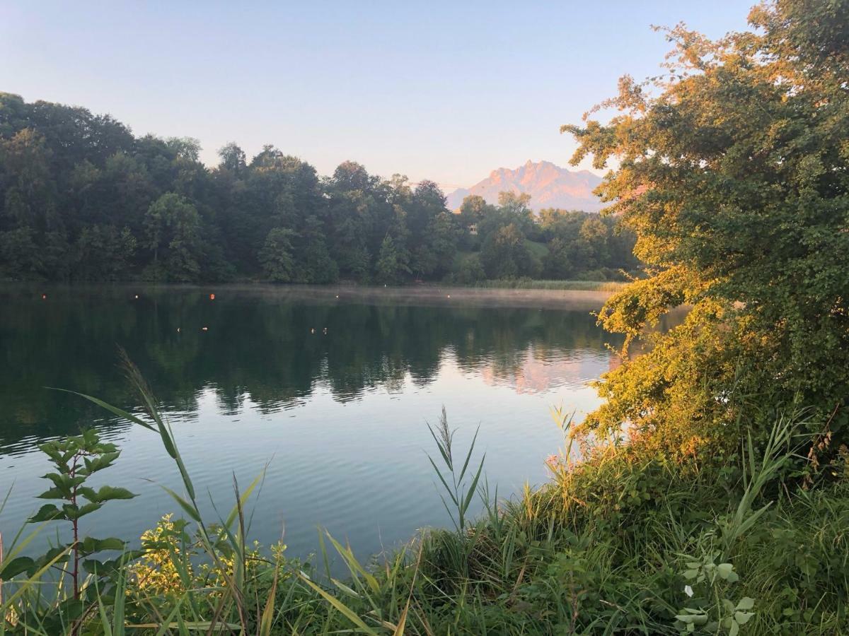 Charming Studio Near Rotsee Lucerne Kitchen/Wifi/Wasching Machine ภายนอก รูปภาพ